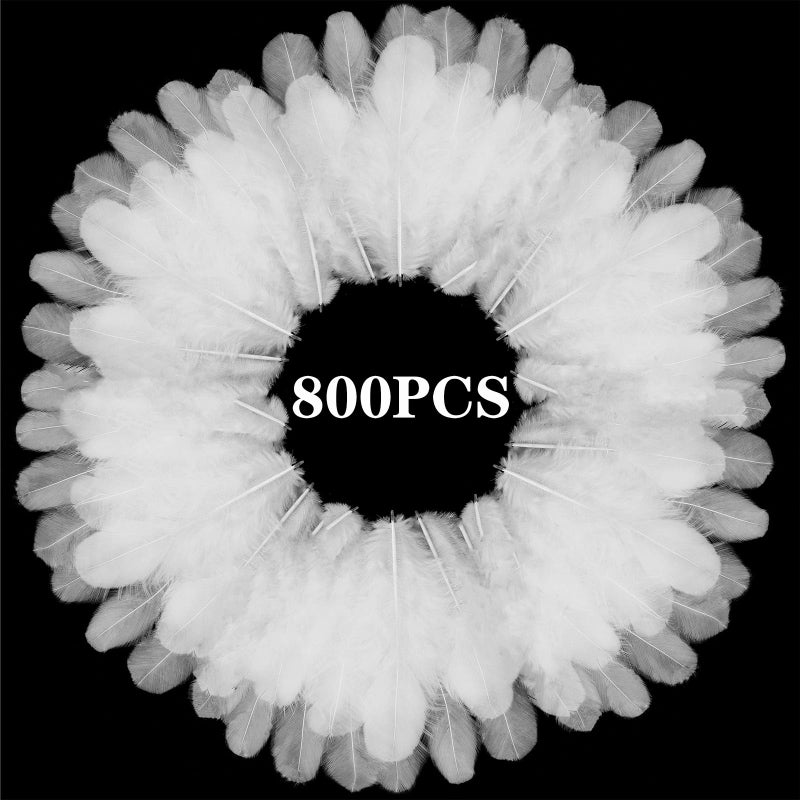 Rasoisof 800Pcs White Craft Rooster Feathers 3-5 inch Bulk Feathers for Crafting Kindergarten DIY Crafts, Wedding, Family Party Decorations, Dream Catcher Supplies, Natural Feathers - Image 1