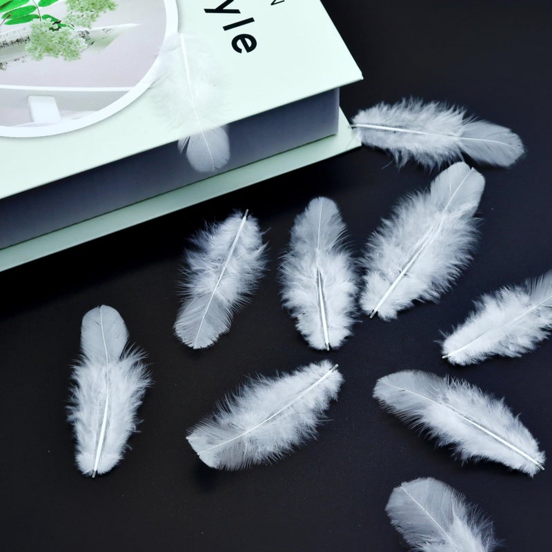 Rasoisof 800Pcs White Craft Rooster Feathers 3-5 inch Bulk Feathers for Crafting Kindergarten DIY Crafts, Wedding, Family Party Decorations, Dream Catcher Supplies, Natural Feathers - Image 3