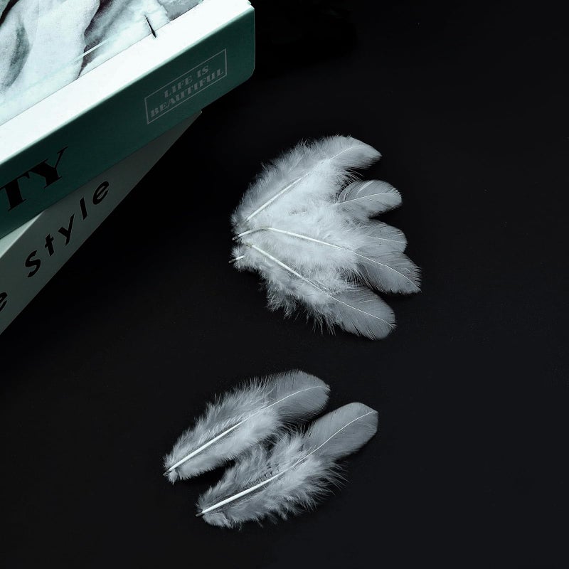 Rasoisof 800Pcs White Craft Rooster Feathers 3-5 inch Bulk Feathers for Crafting Kindergarten DIY Crafts, Wedding, Family Party Decorations, Dream Catcher Supplies, Natural Feathers - Image 5