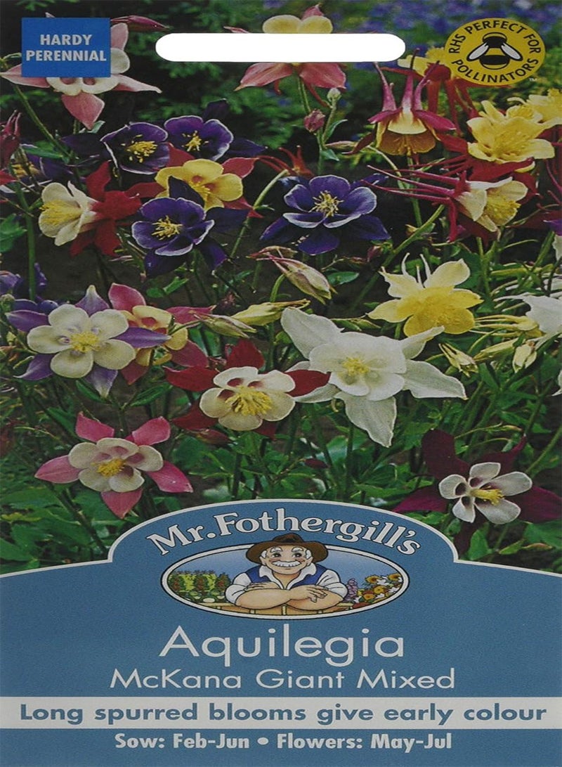 جي جوت 13701 بذور زهرة، أكويليجيا ماكانا العملاقة المختلطة - Image 1