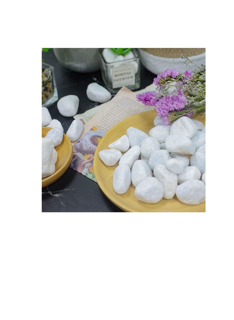 Snow White 3-5 cm Decorative Pebbles Natural Decorative Rocks for Garden Plants Succulents Vase Aquariums Landscape River Stones Outdoor 20 kgs. - Image 3