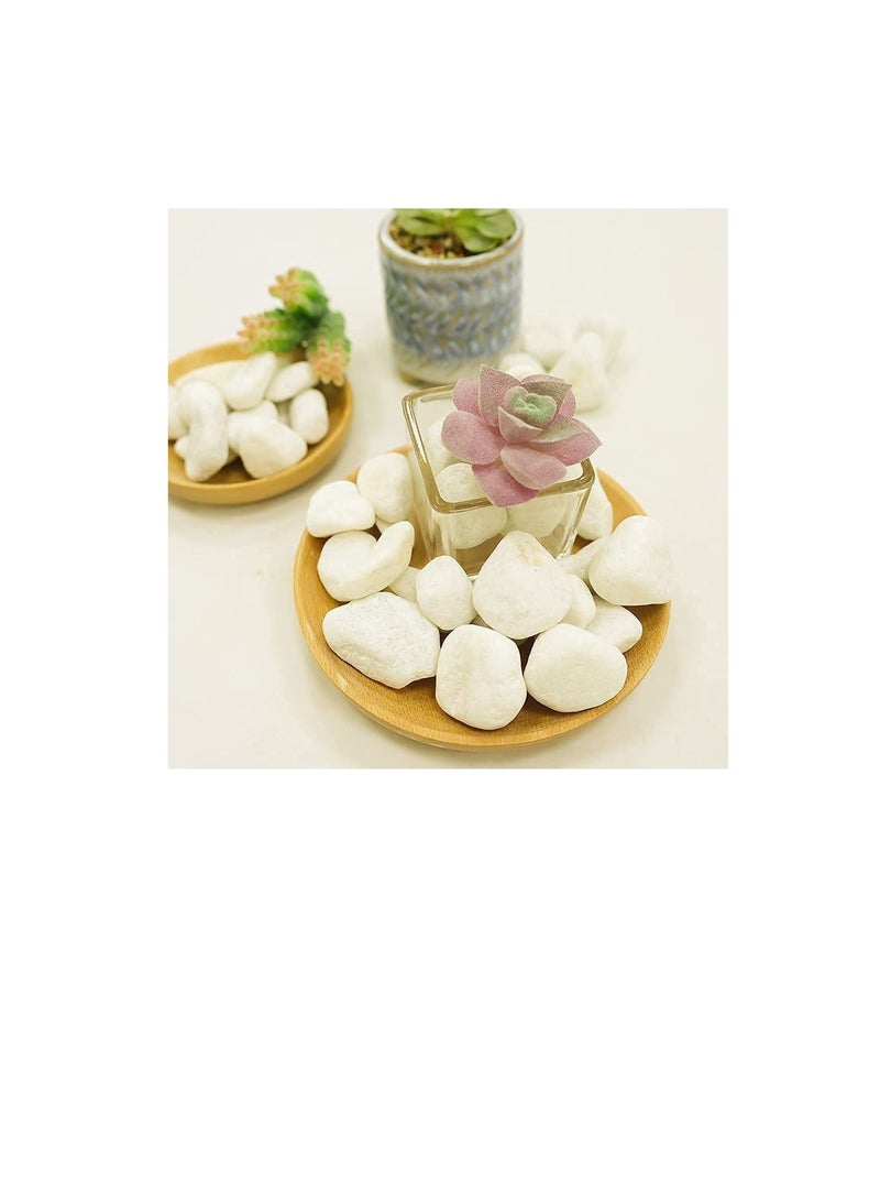 Snow White 3-5 cm Decorative Pebbles Natural Decorative Rocks for Garden Plants Succulents Vase Aquariums Landscape River Stones Outdoor 20 kgs. - Image 2