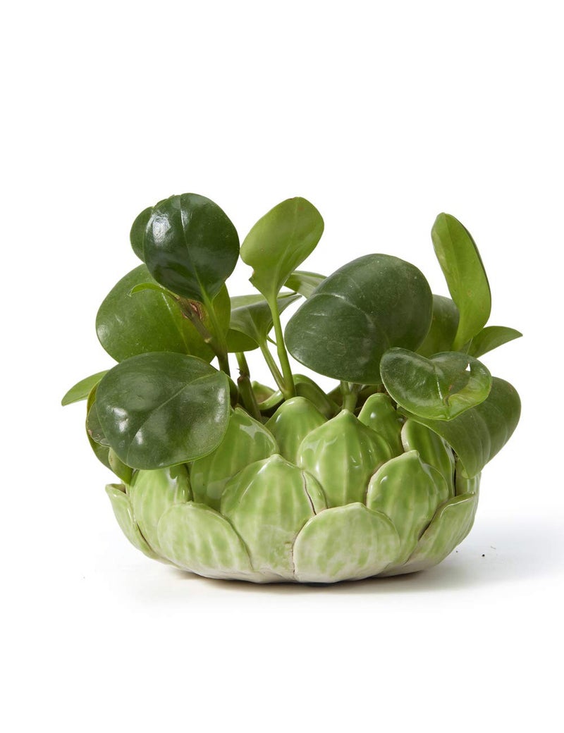 SEINHIJO Indoor Planter Ceramic Pot Flower Gifts Succulent Cacuts Decor Modern Arts Green 7.1inch - Image 1