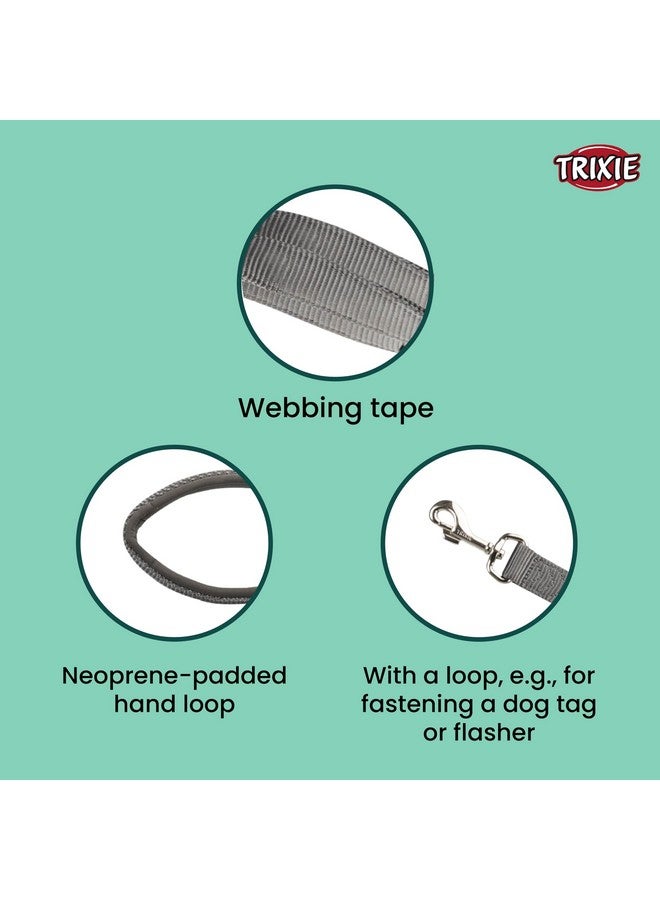 تريكسي مقود كلاب ممتاز طويل للغاية مع حلقة يد مبطنة للكلاب الصغيرة مثل شيواوا، بودل توي، شي تزو، باج، 6 أقدام/15 مم (Xs-S، جرافيت) - Image 4