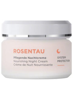 Annemarie Borlind Rose Dew Nourishing Night Cream Protecting And Firming Facial Care With Alpenrose Extract And Avocado Oil Vegetarian 1.69 Fl. Oz.  - Image 1