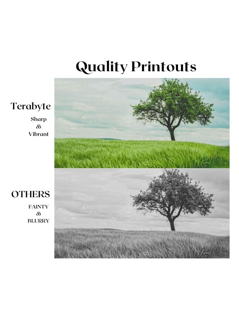 Terabyte CLT508L YELLOW SAMSUNG COMPATIBLE TONER TERABYTE - Image 2