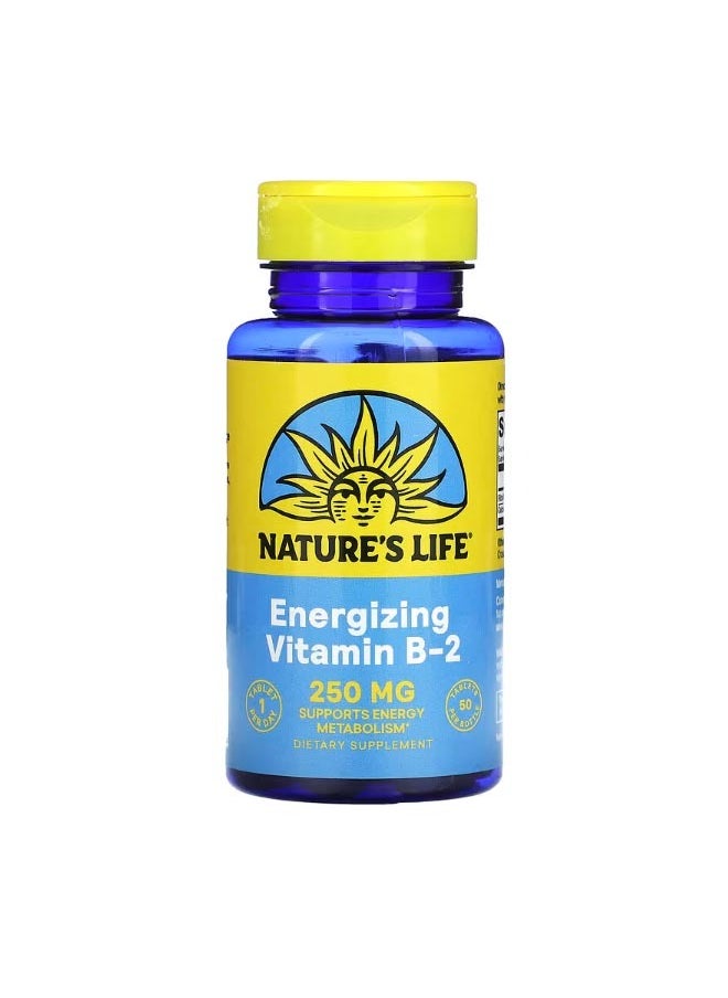 Nature's Life Vitamin B 2 250 mg 50 Tablets  - Image 1