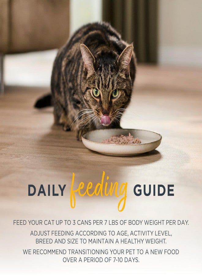 Reveal Entrées Natural Wet Cat Food, Grain-Free with Added Vitamins & Minerals, Carrageenan-Free and High Protein, Tuna Fillet with Shrimp in Broth (24 x 2.47 oz Cans) - Image 4