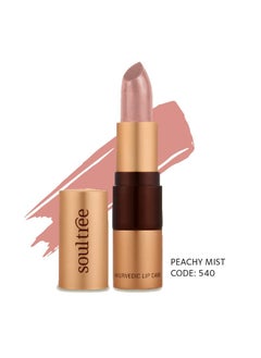 SoulTree Ayurvedic Lipstick Peachy Mist 540 4gm - pzsku/Z950D6F431ED6F196652FZ/45/_/1706623769/c70719a3-d273-4ffb-880f-26b7ca1d8721