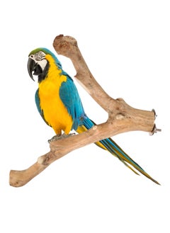 CHEWY BEAK Parrot tree branch perch made of solid java wood for macaw parrots and big birds  - Image 1
