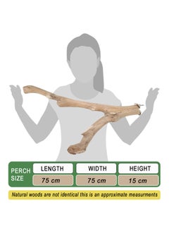 CHEWY BEAK Parrot tree branch perch made of solid java wood for macaw parrots and big birds  - Image 2