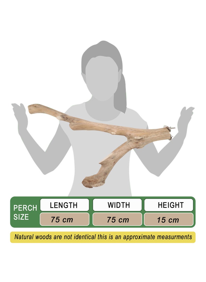 CHEWY BEAK - Parrot tree branch perch made of solid java wood for macaw parrots and big birds - Image 1