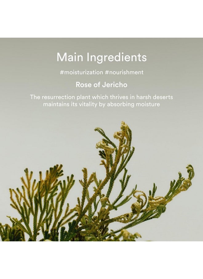 abib Collagen Eye Crème Jericho Rose Tube For Dark Circles And Puffiness, Under Eye Fine Lines  - Image 2