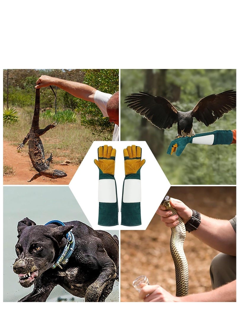 Generic Animal Handling Gloves, 23.6 In Long Sleeves Bite Proof Reptile Protection Glove, Cowhide Leather Handling Gloves, Anti Bite Scratch Long Resistant Dog Training Gloves for Pet Cat Lizard Bird Parrot - Image 2