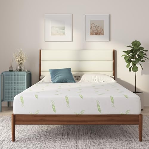 NapQueen Twin XL Size 12 Inch Anula Green Tea Infused Memory Foam Mattress Bed in a Box CertiPURUS Certified Mattress