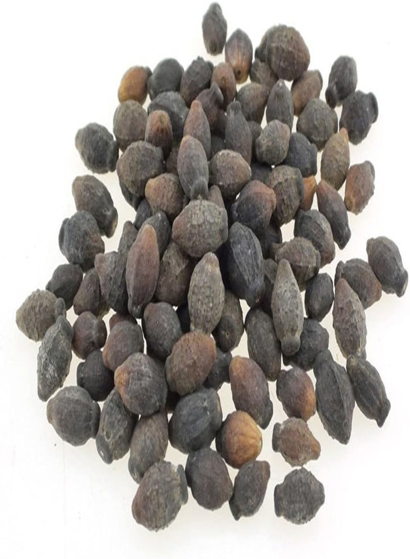 جي جوت بذور للزراعة، 200 قطعة من بذور زهرة الياسمين، نبات الياسمين سامباك المعمر، ديكور شرفة الحديقة - بذور الياسمين - Image 2