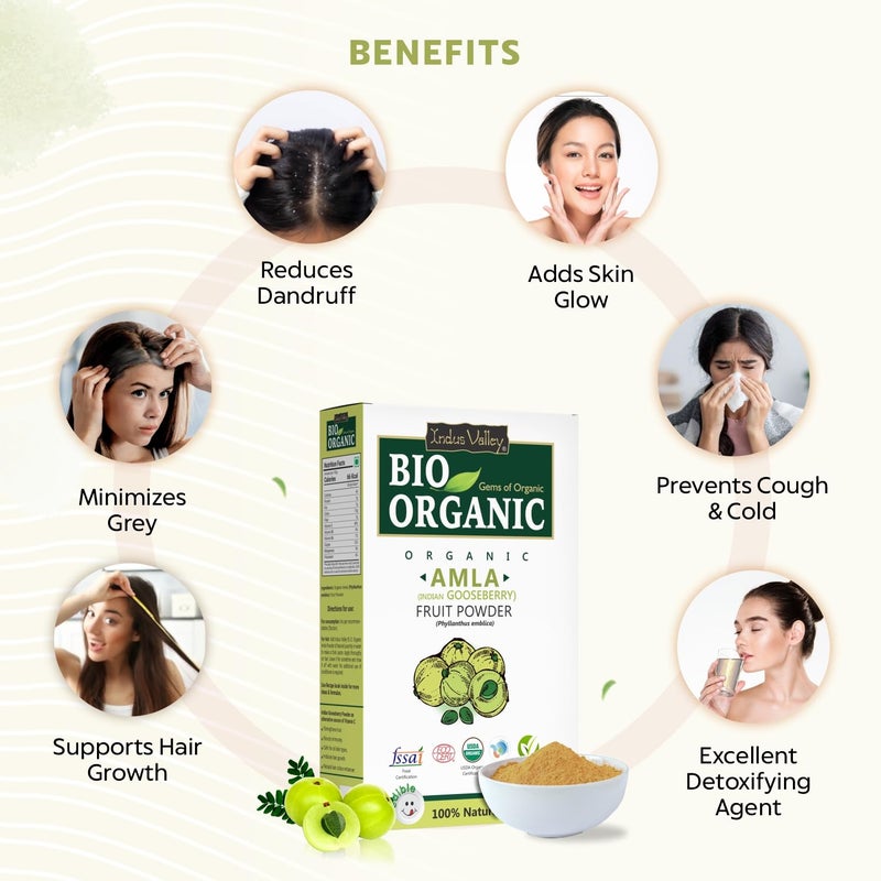 INDUS VALLEY Bio Organic 100 Natural Amla Indian Gooseberry Fruit Powder for Hair Growth Skin Drinking and Eating 100g - Image 3