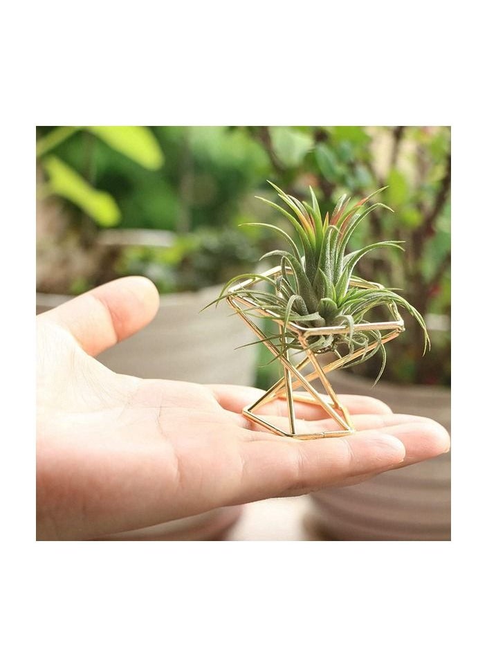 1-Piece Geometric Air Plant Metal Holder Rack - pzsku/Z95128B9E0E3A0EC8043EZ/45/_/1650201568/b7fe8da3-b9a3-455e-8552-eecb7de83954