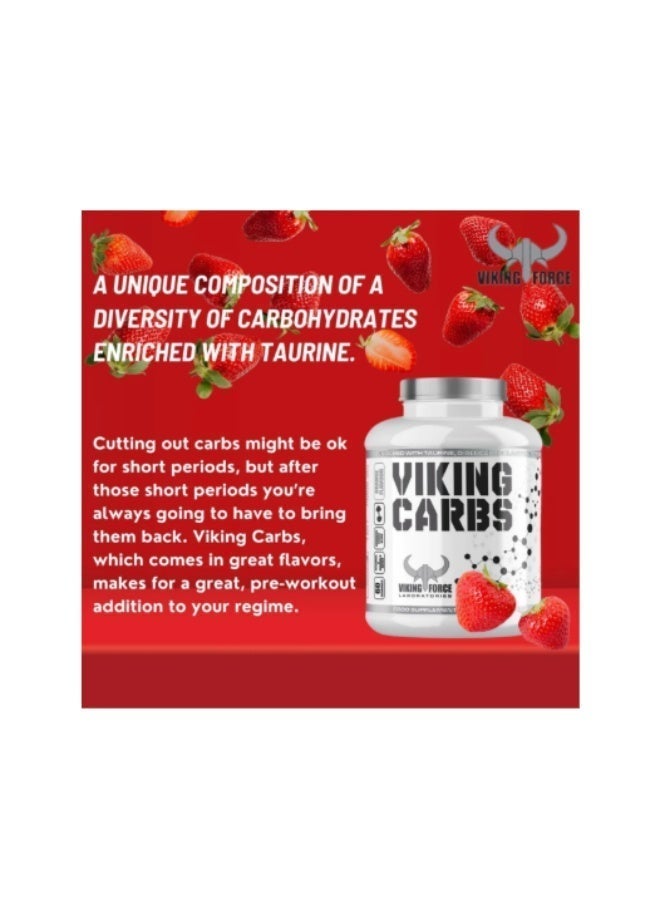 Viking (3 kg ) VIKING FORCE CARBS - Image 2