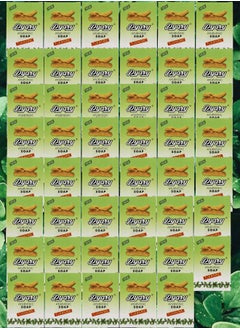 Pyary 47 Pieces Turmeric Soap All Natural Hand Crafted Vegan Ayurvedic 