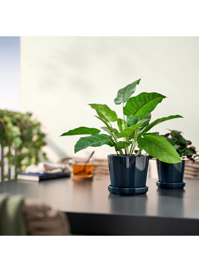 Zaboon Artificial Potted Plant, In/Outdoor Calathea, 12 Cm - Image 3