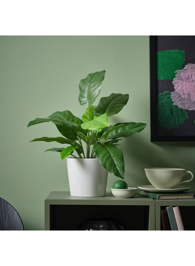 Zaboon Artificial Potted Plant, In/Outdoor Calathea, 12 Cm - Image 2