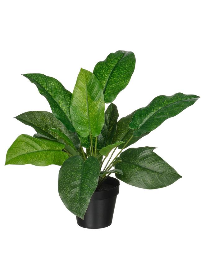 Zaboon Artificial Potted Plant, In/Outdoor Calathea, 12 Cm - Image 1