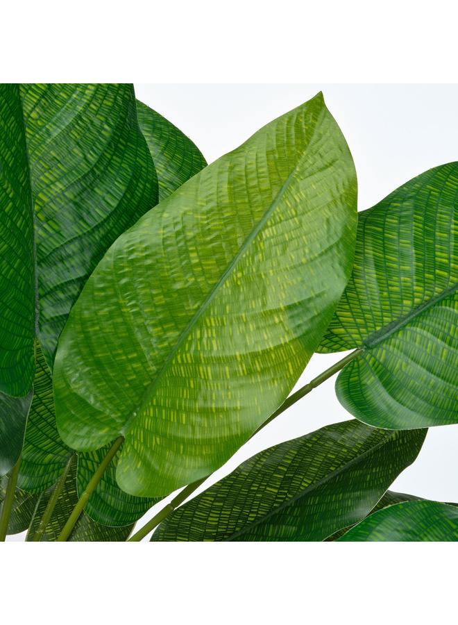 Zaboon Artificial Potted Plant, In/Outdoor Calathea, 12 Cm - Image 4