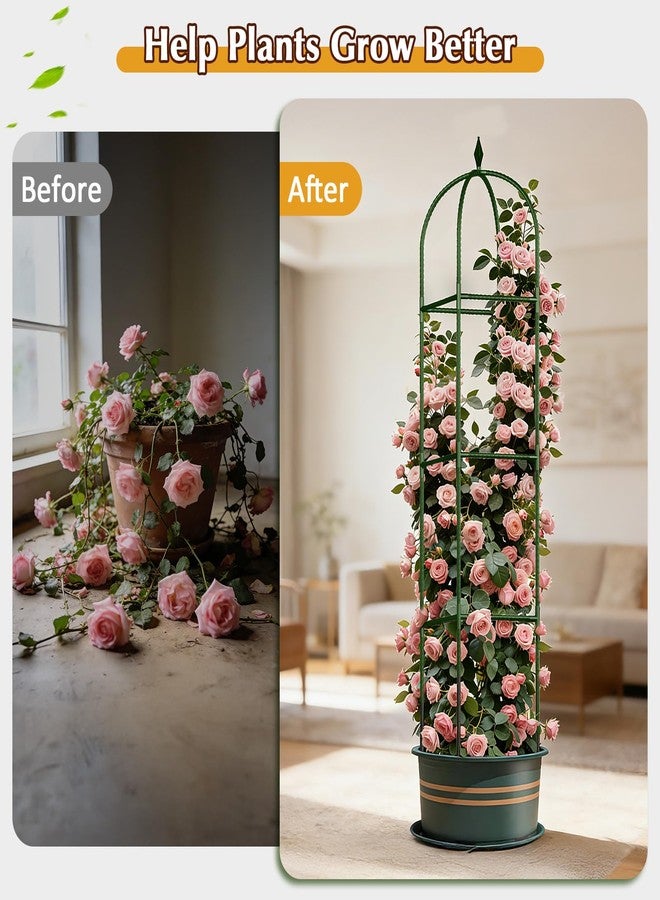 CL FUN Garden Obelisk Trellis for Climbing Plants Outdoor, Tomato Cage, Rose, Flowers, Grape, Pea, Cucumber Trellis, Rustproof Plastic Coated Metal Plant Support Trellis for Potted Plants (Square (Green), 1) - Image 5