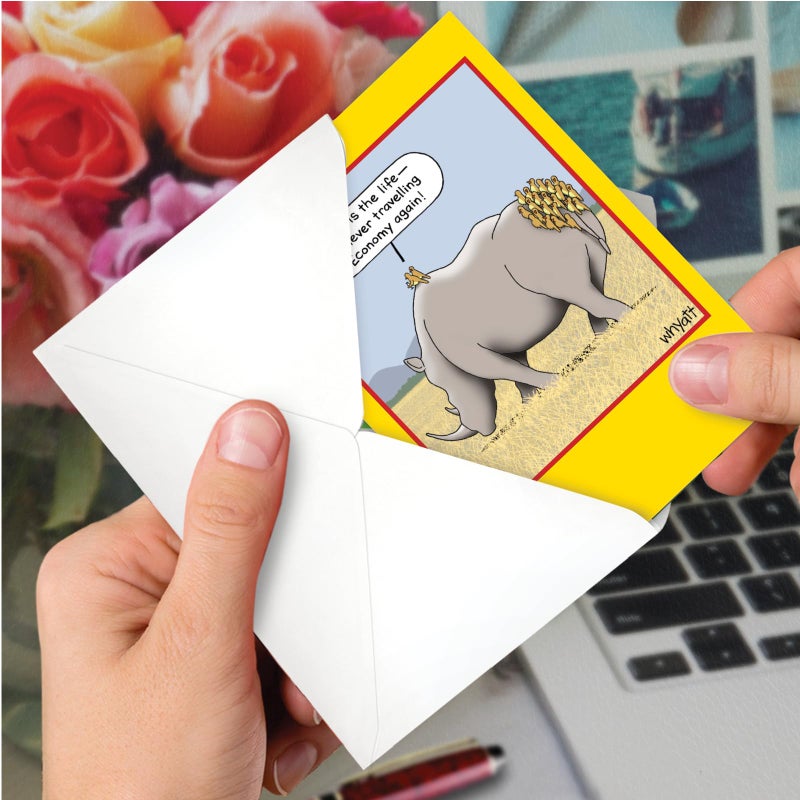 NobleWorks Funny Birthday Paper Card with 5 x 7 Inch Envelope (1 Card) Bday First-Class Birds C3347BDG-UA - Image 5