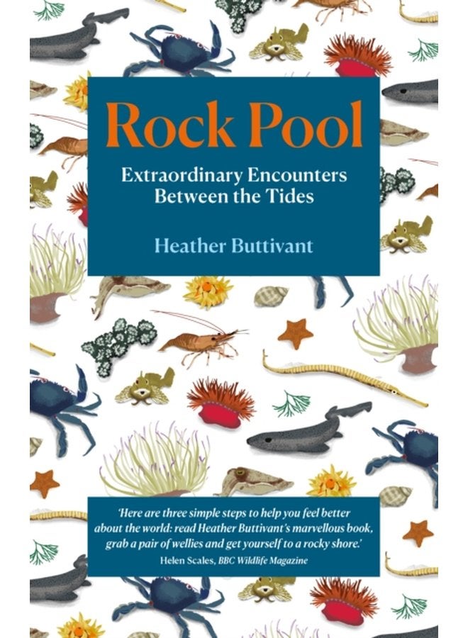 Rock Pool Extraordinary Encounters Between the Tides - Paperback