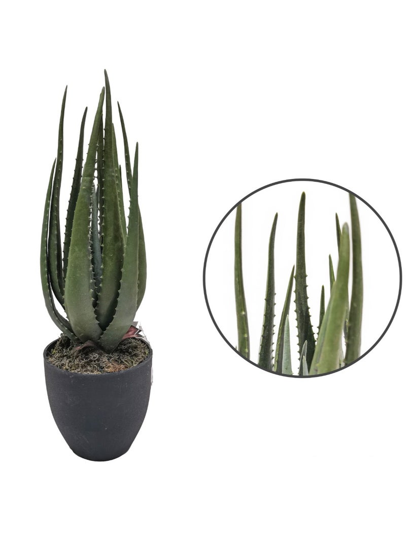 Generic Artificial decor Plant fresh and beautiful look 28 CM 