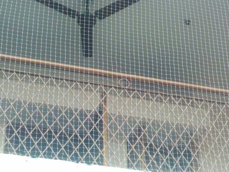 Kuber Industries Pigeon Control Anti Bird Net, 20x10 Ft. (White)-HS43KUBMART26862 - Image 3