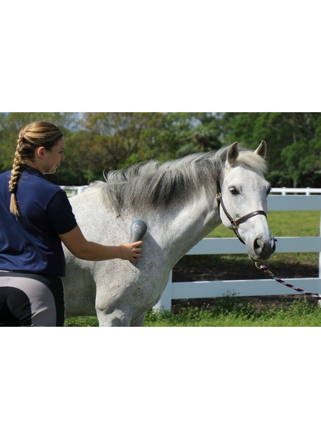 Oster Equine Care Series Horse Grooming Brush, Stiff Bristle, Blue (078399-100-001) - Image 3