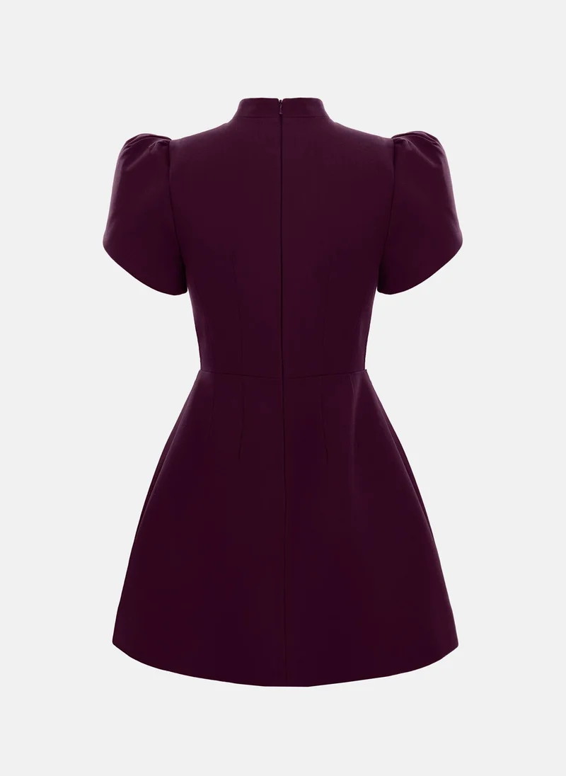 Lichi Mini dress with high collar and button fastening