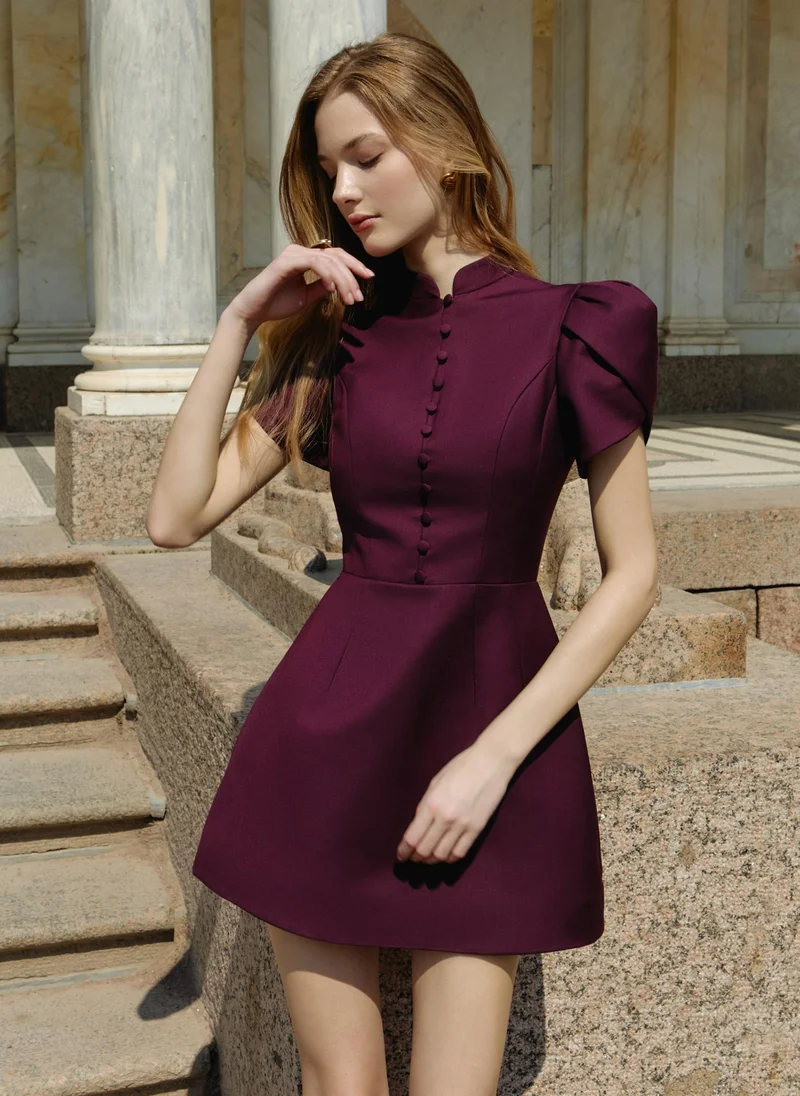 Lichi Mini dress with high collar and button fastening