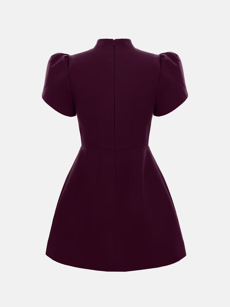 Lichi Mini dress with high collar and button fastening