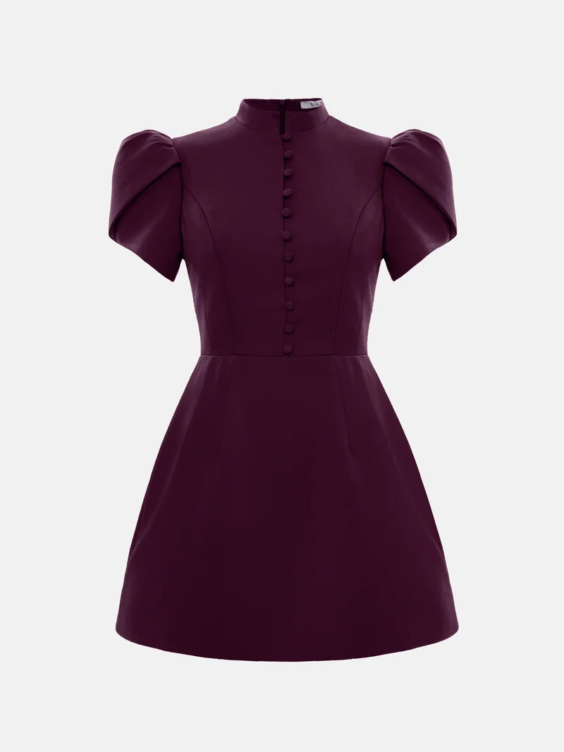 Lichi Mini dress with high collar and button fastening
