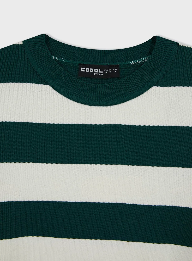 DeFacto Round Neck Striped Detail Sweater