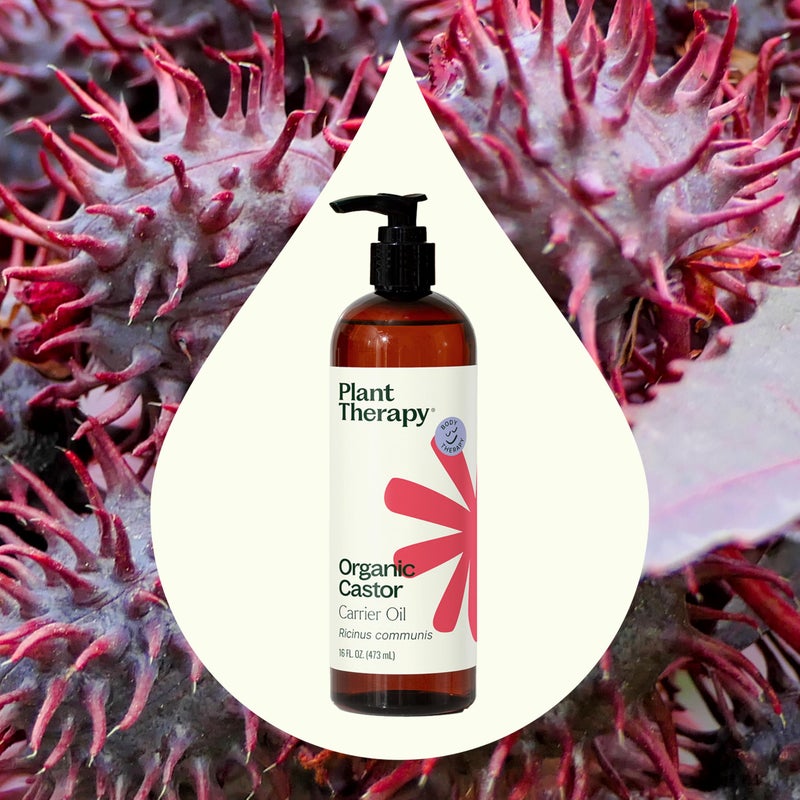 Plant Therapy Castor Oil USDA Organic Cold Pressed 100% Pure Hexane Free 16 oz Conditioning & Healing, For Dry Skin, Hair Growth, Eyelashes - Image 3
