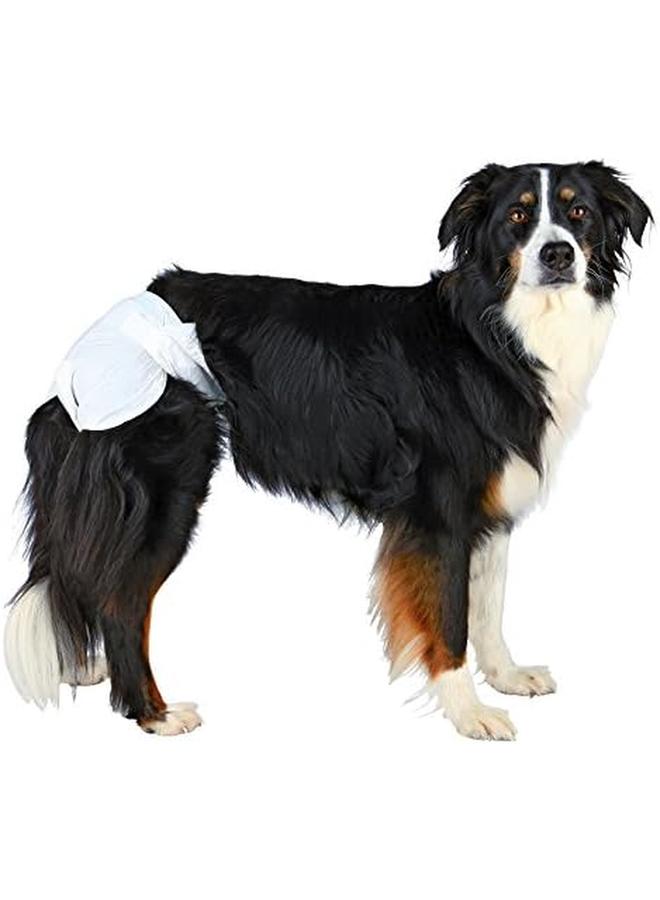 تريكسي حفاضات للكلاب 12 قطعة SM 12 قطعة - Image 2