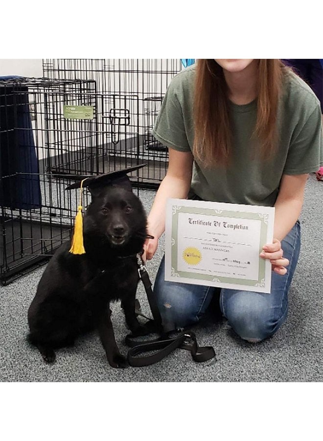 Chanbin Pet Graduation Caps with Small Dog Graduation Hats with Yellow Tassel for Dogs Cats Holiday Costume Accessory - Image 5