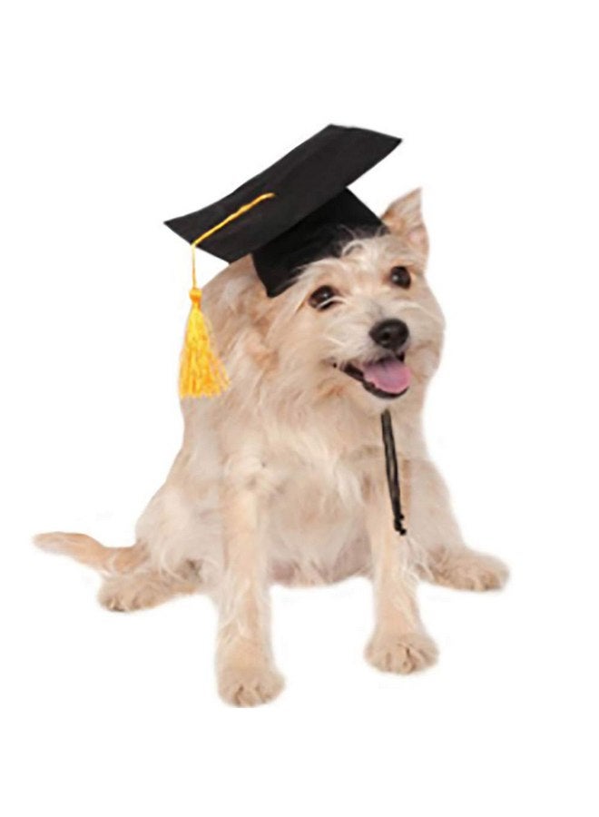 Chanbin Pet Graduation Caps with Small Dog Graduation Hats with Yellow Tassel for Dogs Cats Holiday Costume Accessory - Image 1