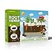 WKLOUYHE Root Viewer Kit for Kids STEM Science Toy Craft Growing Kits for Ages 6 7 8 9 10 Birthday Easter Gifts for Boys GirlsKids Gardening Set DIY Toy - Image 2