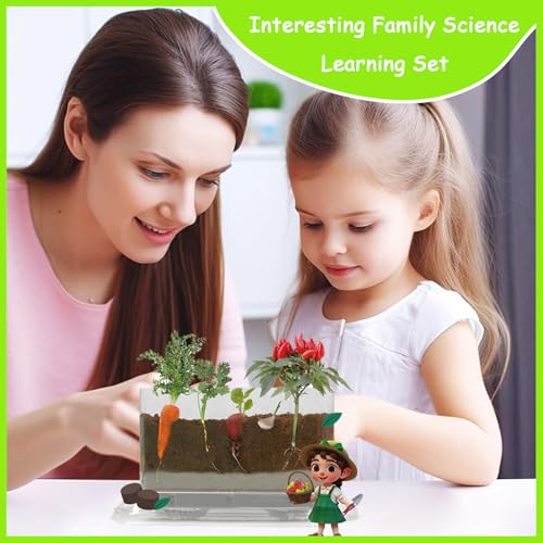 WKLOUYHE Root Viewer Kit for Kids STEM Science Toy Craft Growing Kits for Ages 6 7 8 9 10 Birthday Easter Gifts for Boys GirlsKids Gardening Set DIY Toy - Image 5