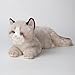 CU-MATE CUMATE 20 Inch Gray Ragdoll Cat Stuffed Animal Toys DollsCute Handmade Plush Toy Ann Baker Cat Birthday Gifts Present for Boys and Girls - Image 4