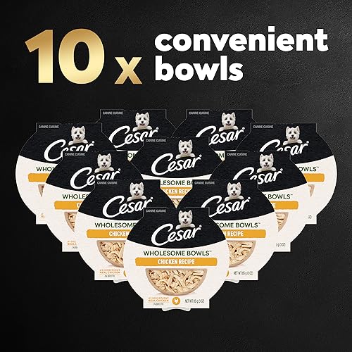 Cesar Wholesome Bowls Adult Wet Dog Food, Chicken Recipe, 3 oz. (10 Count, Pack of 1) - Image 2
