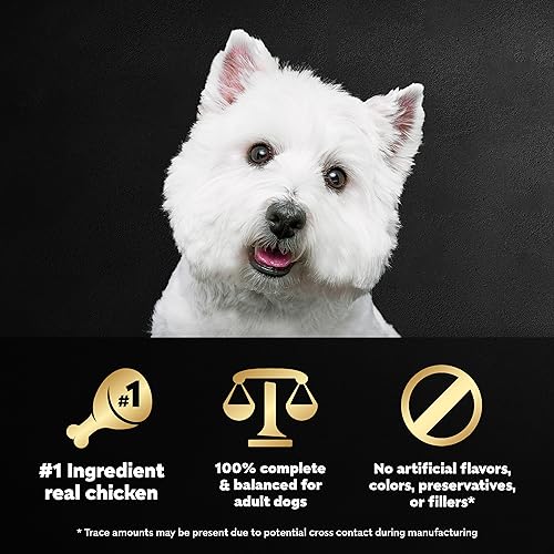 Cesar Wholesome Bowls Adult Wet Dog Food, Chicken Recipe, 3 oz. (10 Count, Pack of 1) - Image 5