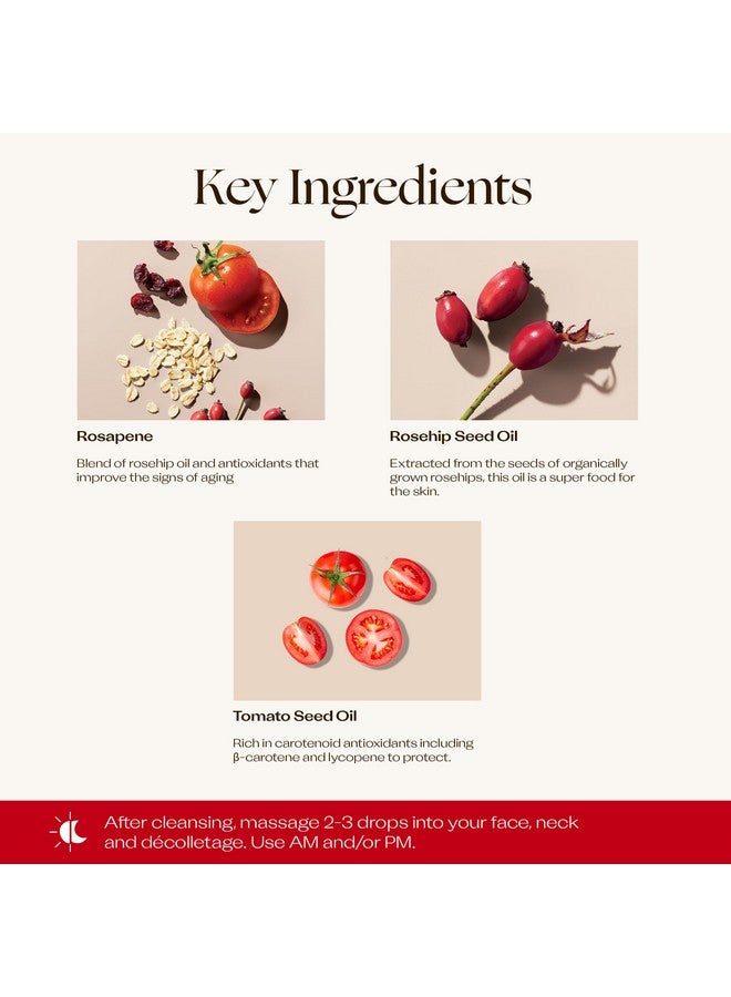 تريلوجي زيت ثمر الورد الثلاثي المضاد للأكسدة+، زيت تجميلي عضوي معتمد لترطيب وإصلاح البشرة، 1.0 أونصة سائلة - Image 4