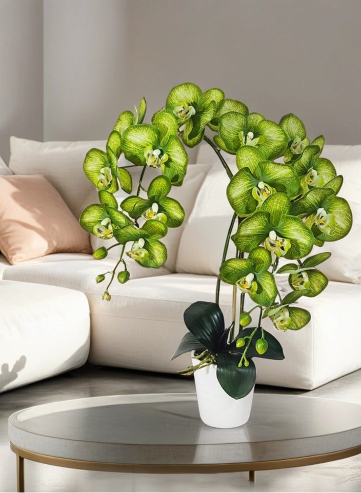 Generic Magic Style Artificial Green Orchid 2 stems in White ceramic pot  - Image 4